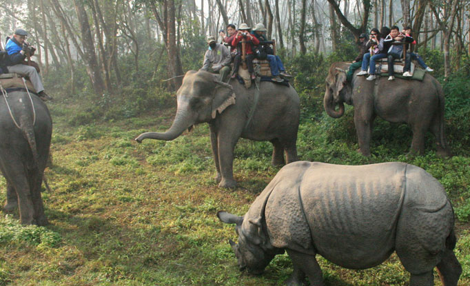 Kathmandu Chitwan Pokhara Tour