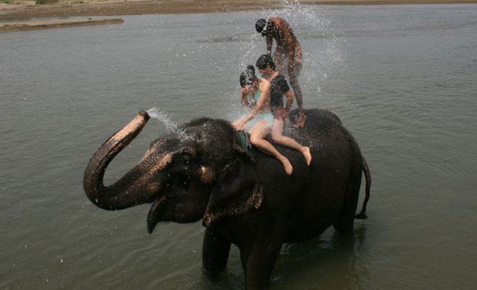 Chitwan Jungle Safari 05 Nights 06 Days